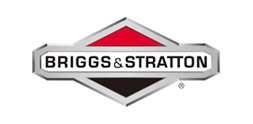 Briggs & Stratton